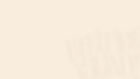 WEBSITE-BG-CREAM.jpg