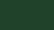 WEBSITE-BG-GREEN-PLAIN.jpg